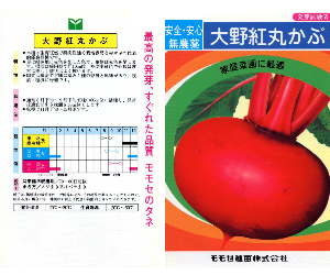 大野紅かぶ解説