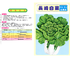 長崎白菜解説