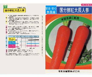 国分鮮紅大長人参解説