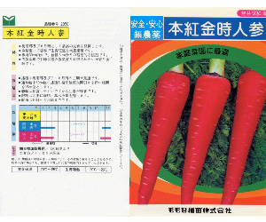 本紅金時人参解説