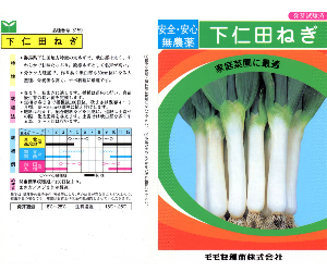 下仁田ねぎ解説