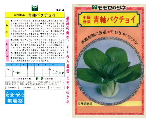 青軸パクチョイ解説