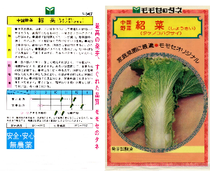 紹菜(タケノコ白菜)解説