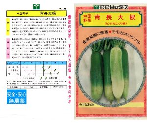青長大根解説