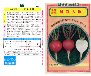 紅丸大根解説