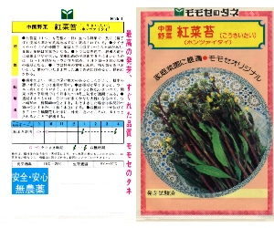 紅菜苔解説