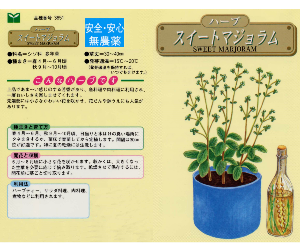 スイートマジョラム解説