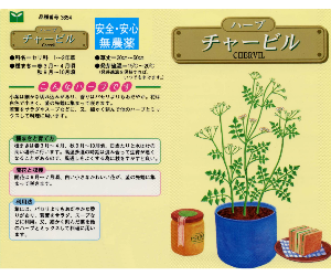 チャービル解説