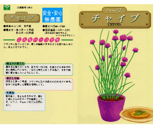 チャイブ解説