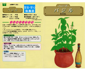 バジル解説
