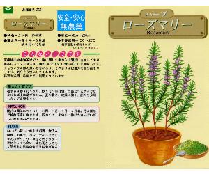 ローズマリー解説