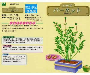 サラダバーネット解説