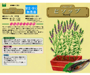 ヒソップ解説