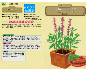 セージ解説