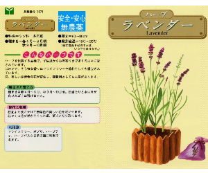 ラベンダー解説