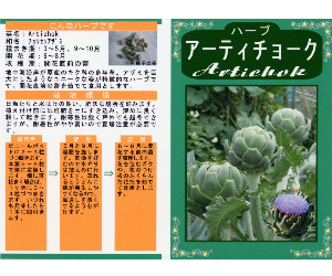 アーティチョーク解説