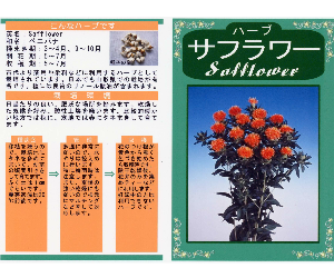 サフラワー解説