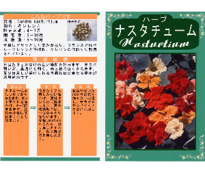 ナスタチューム解説