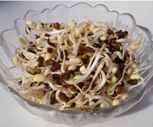 スプラウトブラックマッペ解説