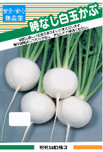 無農薬種子(根物野菜)
