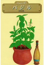 無農薬種子(根物野菜)