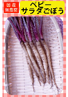 ベビーサラダごぼう