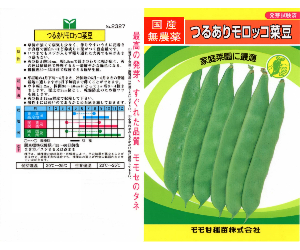 アメリカ菜豆解説