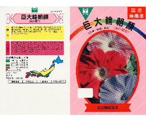 巨大輪朝顔解説