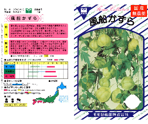 風船かずら解説