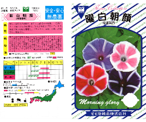 曜白朝顔解説