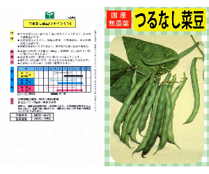 つるなし菜豆(国内産)解説