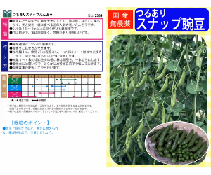 つるありスナップ豌豆解説