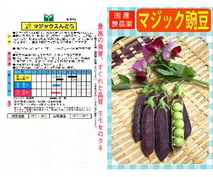 マジックえんどう解説