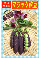 マジックえんどう