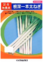 根深一本太ねぎ