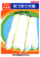 秋づまり大根