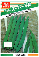 つるありスーパー平莢菜豆