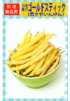 つるあり黄さやいんげん