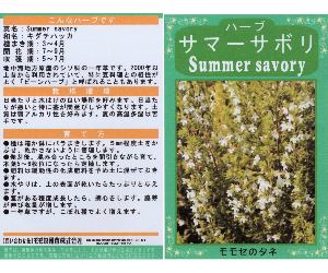 サマーサボリ解説