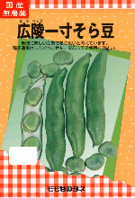 広陵一寸そら豆