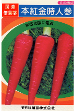 本紅金時人参