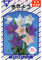 ききょう五月雨混合