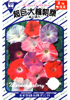 超巨大輪朝顔暁の混合
