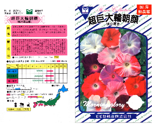 超巨大輪朝顔・暁の混合解説