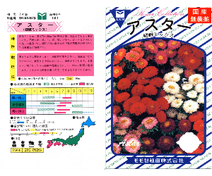 アスター嵯峨MIX解説