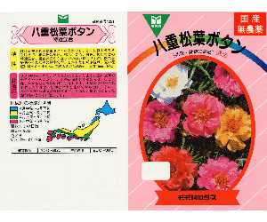 八重松葉ボタンMIX解説