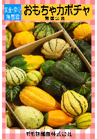 おもちゃカボチャ