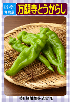 万願寺とうがらし