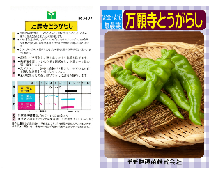 万願寺とうがらし解説