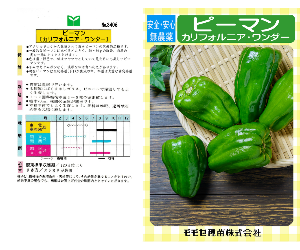 ピーマン解説